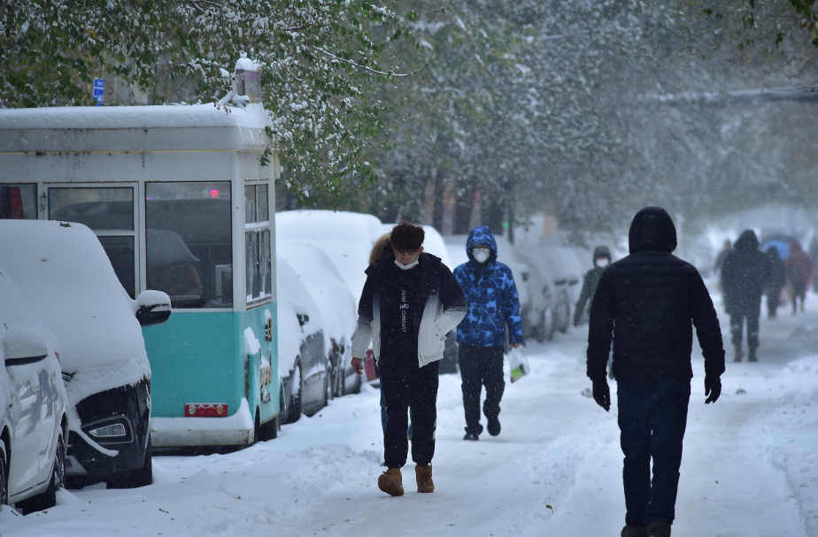 专家称东北多地大暴雪或引发雪灾