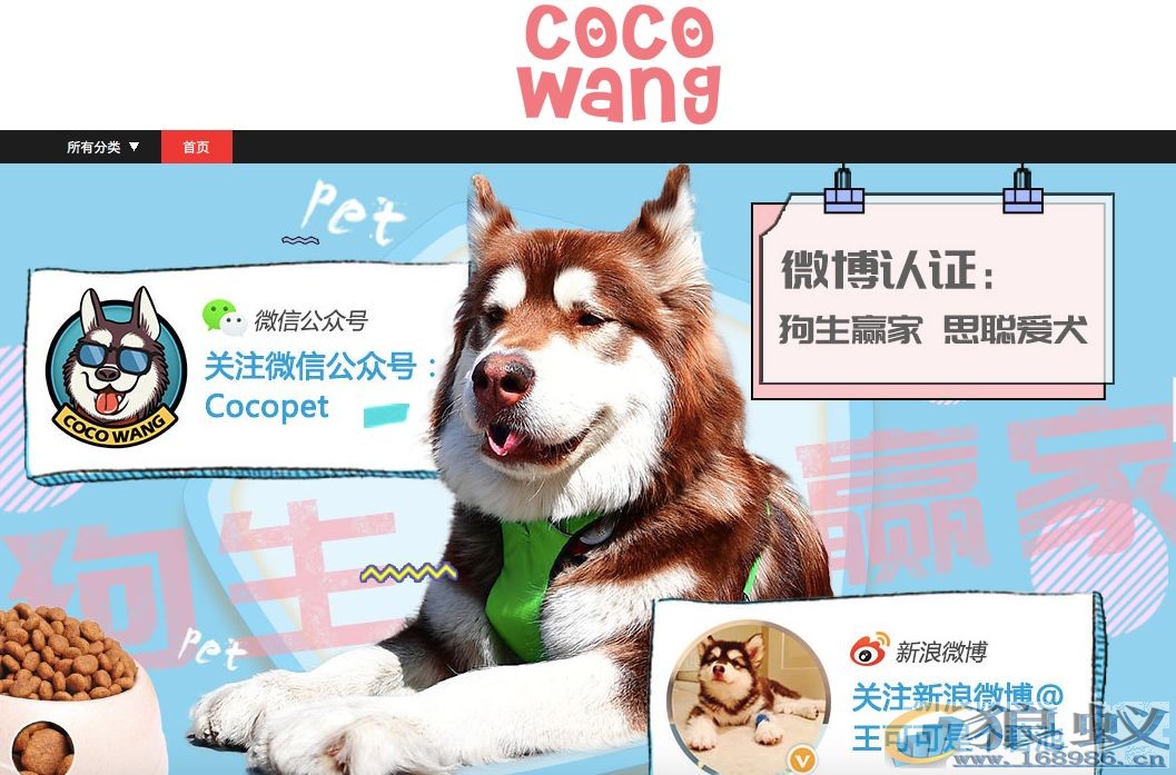 “狗生赢家”王可可！王思聪爱犬淘宝开店年入3000万